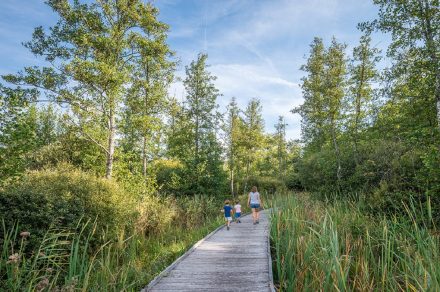 Chilly marsh Discovery trail