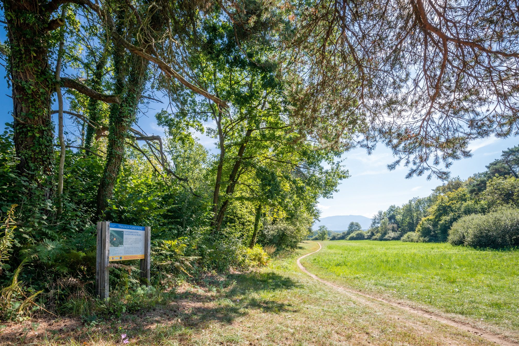 Nature work camp at the Guidou domain