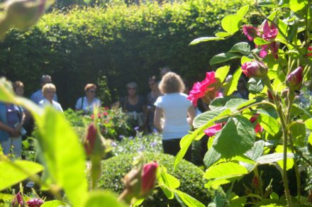 Visite commentée du jardin