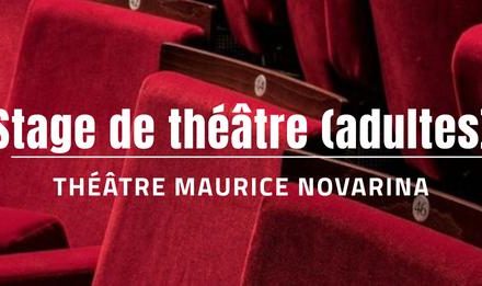 Stage Théâtre avec Patrice Mohr / pour adultes 1 Week-end