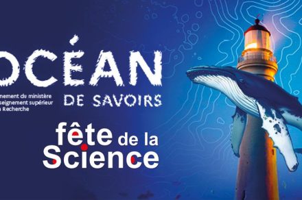 Fête de la science : Quiz de l'océan