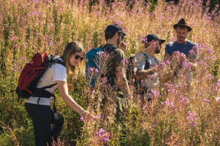 Walk around the plants at the Domaine de Montjoux